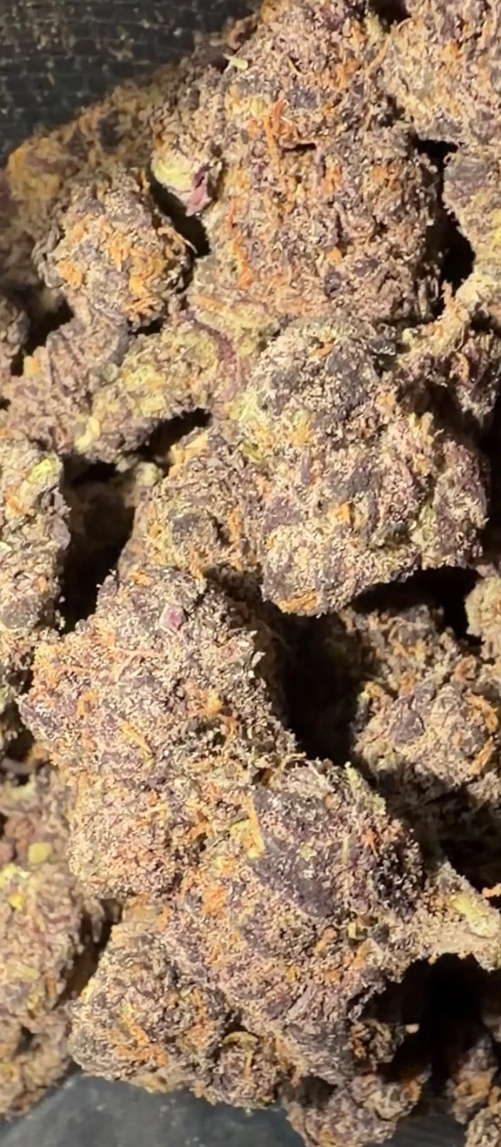 M.O.B (TOP SHELF!)