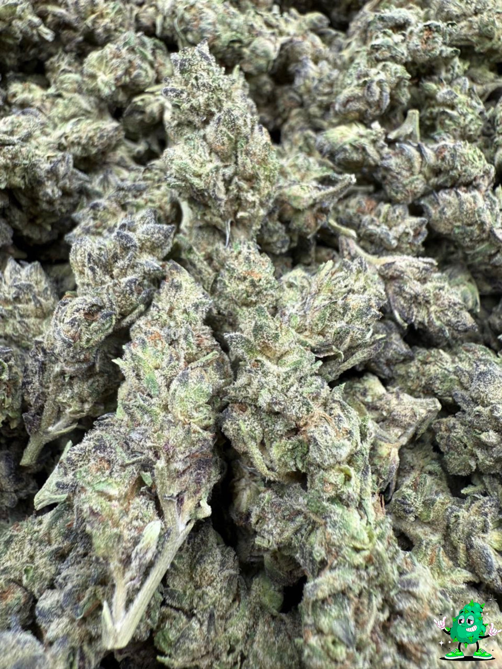 Northern Lights(PRICE DROP!)