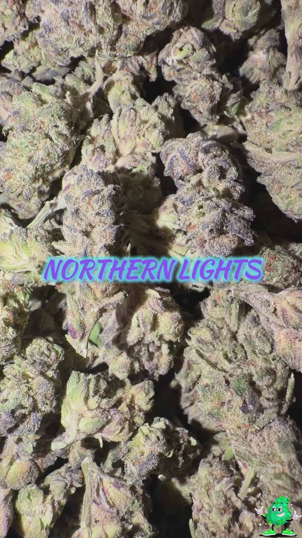 Northern Lights(PRICE DROP!)