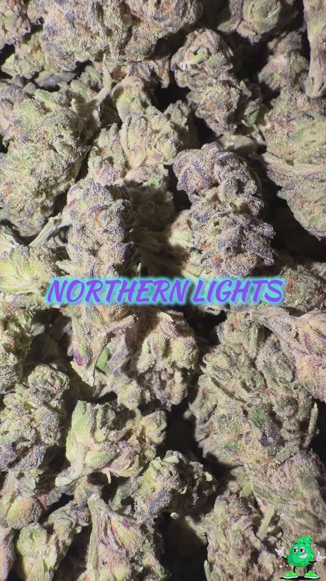 Northern Lights(PRICE DROP!)