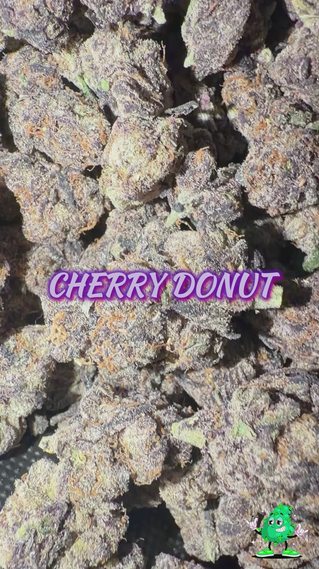 Cherry Donut (TOP SHELF!)